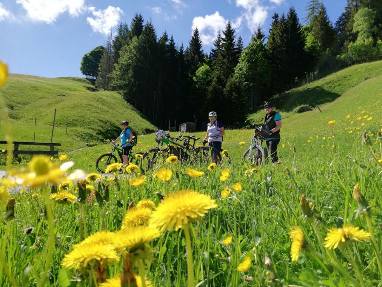 Pension Edelweiss Breitenbach am Inn Екстериор снимка