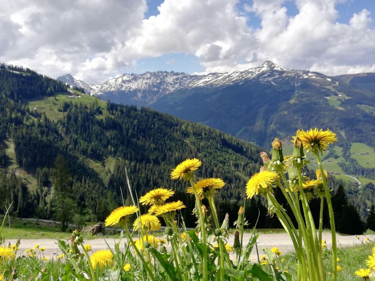Pension Edelweiss Breitenbach am Inn Екстериор снимка